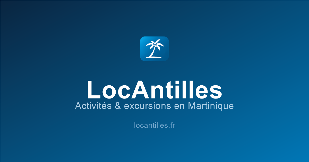 Croisières dauphins et tortues à la demi- journée